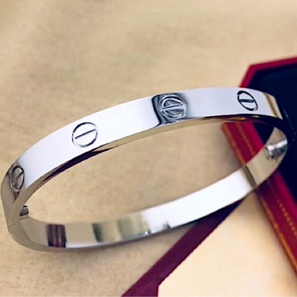 Silver Platinum Plated Bangle Bracelet Without Stones Stainless Steel